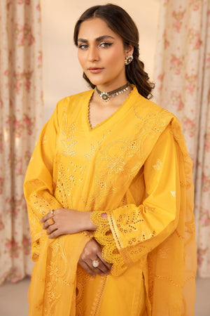 Ibtida I-13 : Chicken Kari Lawn 3PC - Kleren